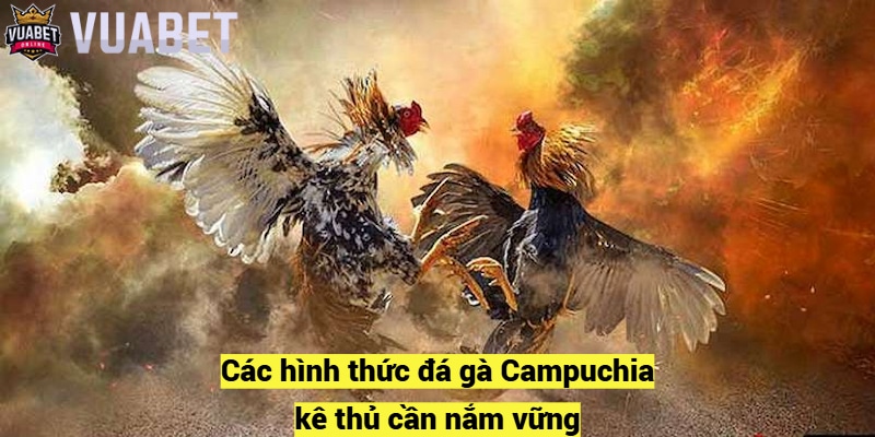 Các hình thức đá gà Campuchia kê thủ cần nắm vững