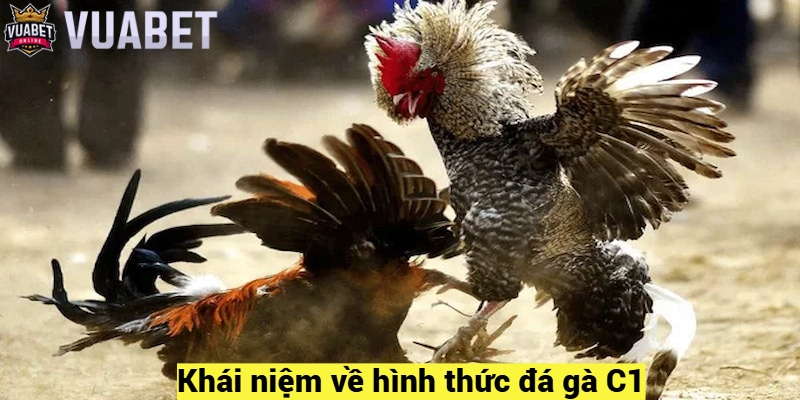 Khái niệm về hình thức đá gà C1