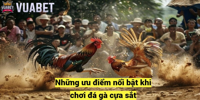 Những ưu điểm nổi bật khi chơi đá gà cựa sắt